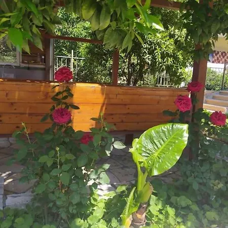 Sokoli, Lovely Modern * Tirana